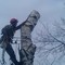 Вырубка, спил деревьев
