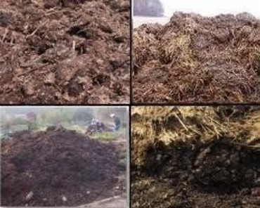 Перегной с доставкой