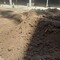 Предлагаю строительный грунт