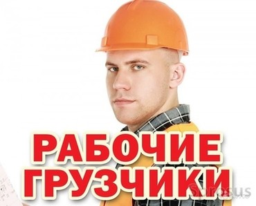 Специальные услуги