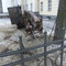 Услуги горизонтального бурения
