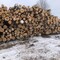 Доставка берёзовых дров 