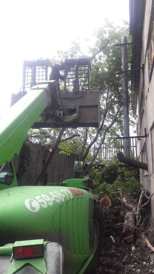 Организация благоустройства
