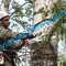 Подрезка деревьев, вырубка сухостоя и аварийных деревьев