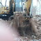 Уборка и вывоз мусора