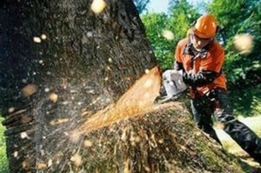 Благоустройство территории