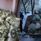 Заказать вывоз мусора