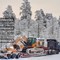Перевозка негабаритных грузов