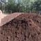 Планировочный грунт с доставкой