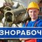 Разнорабочие