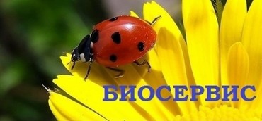 Услуги по откачке септиков и сливных ям