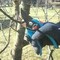 Обрезка деревьев