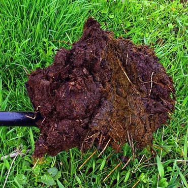 Доставка навоза 