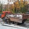 Услуги по вывозу строительного мусора