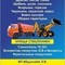 Доставка, перевозка карьерного, речного, морского песка
