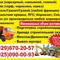 Специальные услуги