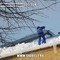 Спил деревьев и кустов, опиловка
