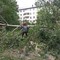Услуги по вывозу строительного мусора