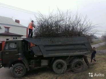 Услуги по вывозу мусора