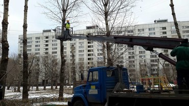 Кронирование деревьев