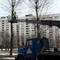 Кронирование деревьев