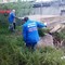Предлагаю вывезти мусор