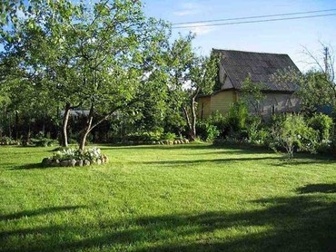 Устройство газонов, озеленение, Красноярск