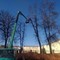 Кронирование деревьев
