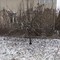 Обрезка деревьев