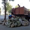 Услуги по благоустройству