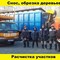Спил деревьев и кустов, опиловка