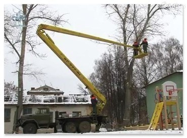 Подрезка деревьев, вырубка сухостоя и аварийных деревьев