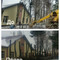 Спил деревьев и кустов, опиловка