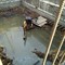 Заказ земляных планировочных работ