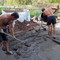 Услуги по погрузке - разгрузке