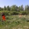 Услуги по вывозу мусора