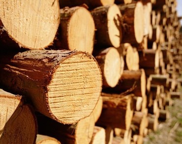 Доставка леса и лесоматериалов