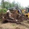Услуги по вывозу строительного мусора