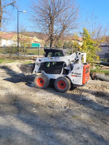 Bobcat