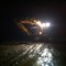 jcb 220