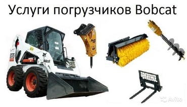Bobcat