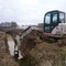 JCB. bobcat