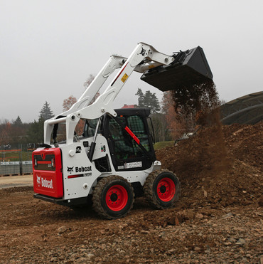 Bobcat