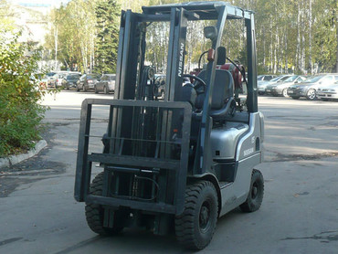 1F1A15