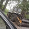 Т-150