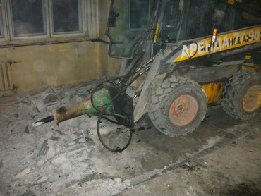bobcat