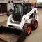 Bobcat