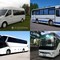 Scania, Neoplan N116, Volksvagen Crafter