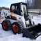 Bobcat