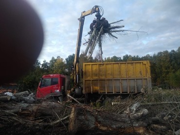 Амур 633101